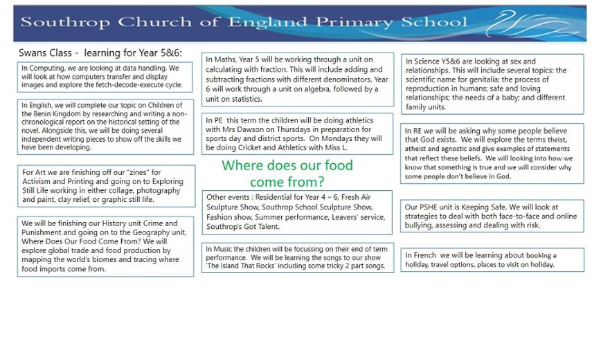 Topic Web Y5&6 Where does our food come from